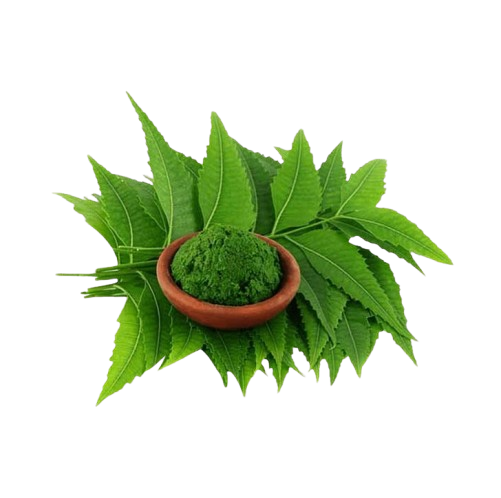 neem images